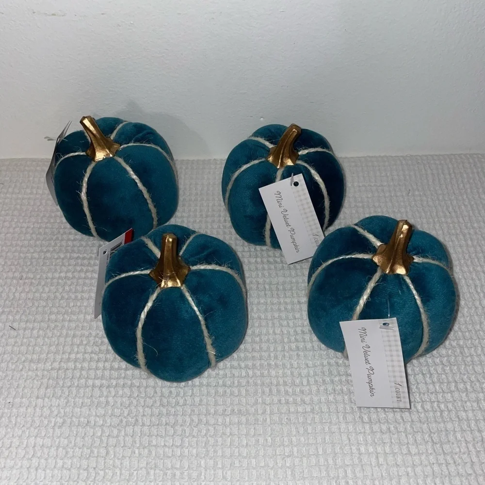 Mini velvet pumpkins - set of 4- target bullseye playground